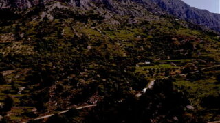 Bi Business Babes Unleash Passion in the Workplace